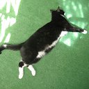 ���� ������, ������, 63 ���� - ��������� 15 ���� 2011 � ������ ���� ����-�����