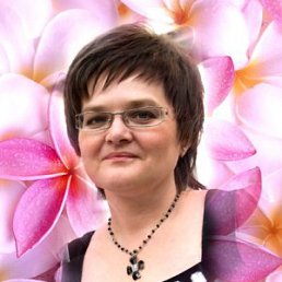 ���� �������, ��������, 61 ��� - ��������� 8 ���� 2013