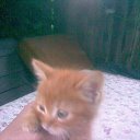 ���� ������, �������, 45 ��� - ��������� 24 ������ 2012