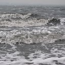 ���� �����, ������, 49 ��� - ��������� 12 ������� 2012 � ������ ������Ż