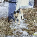 ���� �, ����-�����������, 46 ��� - ��������� 10 ����� 2011 � ������ ��������