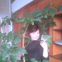 ���� ��������, ������� - ��������� 23 �������� 2011 � ������ ���� ����������