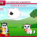   (), , 39  -  16  2010   PetLove