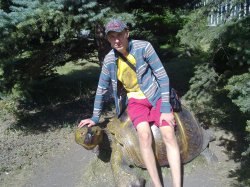 ���� �������, �����������, 34 ���� - ��������� 10 ���� 2013