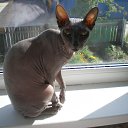 ���� �����, ��������, 68 ��� - ��������� 25 ������� 2012 � ������ �������