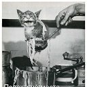 ���� Ivan, ������ - ��������� 24 ������ 2011 � ������ �������