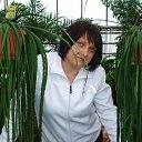 ���� ��������, ���������, 49 ��� - ��������� 1 ������ 2012