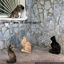 ���� ������, ����� - ��������� 9 ������� 2010 � ������ �������� � ���������