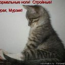  ,  -  24  2010   ...)))