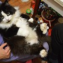 ���� ����� ���� �) �� ������� ����� ��� ������������