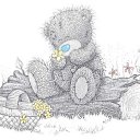 ���� "@����", �����-���������, 25 ��� - ��������� 8 ��� 2010 � ������ �Teddy�