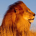 ���� ������, �������, 34 ���� - ��������� 4 ������� 2010