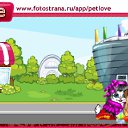  , , 50  -  12  2010   PetLove