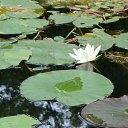 ���� ����, ������, 40 ��� - ��������� 30 ������� 2009 � ������ ������ 01.08.09 �� 02.08.09�