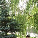 ���� �������, ���������, 35 ��� - ��������� 29 ���� 2012 � ������ ���� ����������