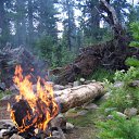  , , 51  -  14  2011     2007