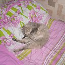 ���� ����, �����, 45 ��� - ��������� 24 ��� 2012