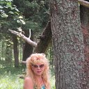  , , 68  -  27  2012     .