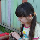 ���� ��������, ������ - ��������� 9 �������� 2011 � ������ �����ջ