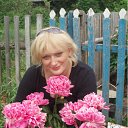 ���� ����� ��������, ������ ��������, 54 ���� - ��������� 16 ���� 2012