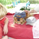  , , 50  -  1  2012   2012