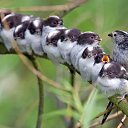 ���� ����� - ���������� ��������!!!, �����������, 56 ��� - ��������� 14 ���� 2010 � ������ �� ����� �������� � ... �� ������