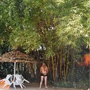  , , 61  -  22  2011       ...