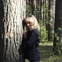 ���� ��������, �����������, 49 ��� - ��������� 25 ��� 2012 � ������ ���� ����������