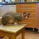 ���� �����, ������ - ��������� 2 ��� 2010 � ������ ���������� ������