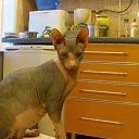 ���� �����, ������ - ��������� 2 ��� 2010 � ������ ���������� ������