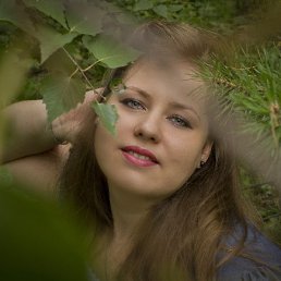 ������, ������, 41 ���