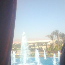 ���� ����, ������, 41 ��� - ��������� 28 ����� 2012