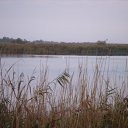 ���� ����, ������, 57 ��� - ��������� 19 ������ 2012 � ������ �������