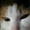 ���� �����, ������������, 38 ��� - ��������� 4 ������� 2012 � ������ ���� ��������