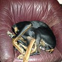 ���� �������, ������, 36 ��� - ��������� 16 ������� 2013 � ������ ������ ��������