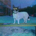 ���� Sergey, ������, 76 ��� - ��������� 11 ���� 2013 � ������ ������� ������ ����߻