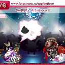  , , 30  -  30  2011   PetLove