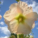 ���� �����, ������ - ��������� 1 ������ 2010 � ������ ���� ������