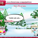  P*******, , 36  -  6  2011   PetLove