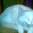 ���� �����, ������, 57 ��� - ��������� 10 �������� 2010 � ������ ���� �������� � ���߻