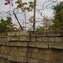 ���� ���[��]������, ������, 36 ��� - ��������� 2 ������ 2010 � ������ �S.T.A.L.K.E.R.�