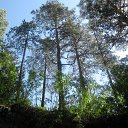 ���� ����, ����������� - ��������� 7 ������� 2012 � ������ ������� �����