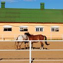 ���� ��������, ���������, 52 ���� - ��������� 3 ���� 2012 � ������ ���������