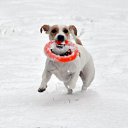 ���� Leonid, �����-���������, 39 ��� - ��������� 22 ����� 2012 � ������ ������