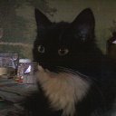 ��� ������� �� ������� �������