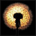 ���� ���, ������������ - ��������� 30 ������� 2011 � ������ ���� ����������