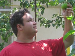 �������, ����, 35 ���