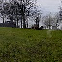 ���� ��op�, ����, 44 ���� - ��������� 25 ��� 2013 � ������ �Woburn Safari Park(Uk)�