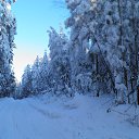 ������ ��� �� ������� ���� ����������