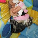 ���� ����, ������, 36 ��� - ��������� 2 ������� 2011 � ������ ���������